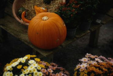 De herfst hangt in de lucht