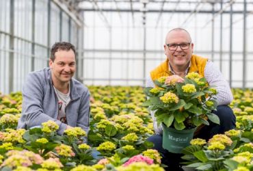 Featured grower