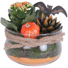 Arrangement kamerplant Halloween Arr. Indoor Glass Bowl avec Rope Ø16cm 2PP