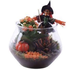 Arrangement kamerplant Halloween Arr. Indoor Glass UFO Vase Ø20cm 2PP