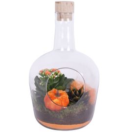 Arrangement kamerplant Halloween Arr. Indoor Glass Vase avec Hole Ø18cm 2PP
