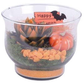 Arrangement succulentes Halloween Arr. Indoor Glass Tulip Vase Ø16cm 1PP