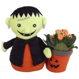 Arrangement kamerplant Halloween Arr. Indoor Pluche Figure Frankenstein Ø25cm 1PP