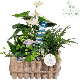 Arrangement Anthurium H% HAT008 Verona Large Maritiem