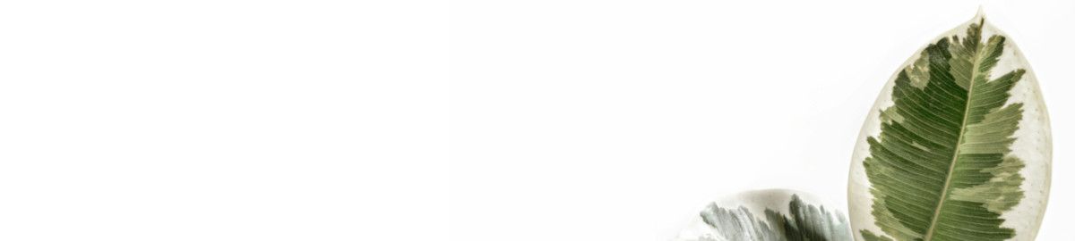 VACATURE: Backoffice Medewerker